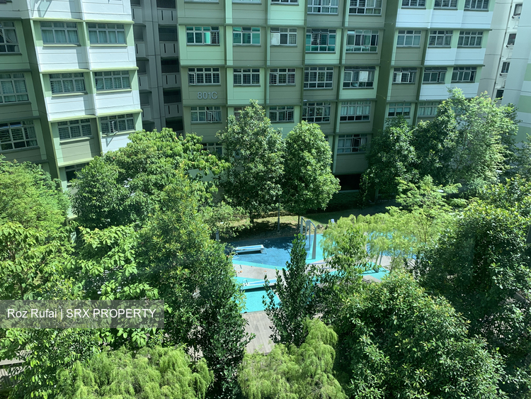 Blk 802C Keat Hong Crest (Choa Chu Kang), HDB 4 Rooms #319630141
